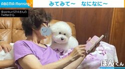 おばあちゃんと一緒に“自撮り写真”を見る犬 祖母と孫のような姿に癒やされる人続出