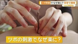ツボ押しでなぜ痛みが和らぐ？足三里に科学的根拠　鍼灸の3つの仕組み　東洋医学解明