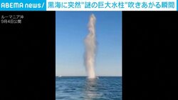なぜ？黒海に突然現れた“巨大水柱” ルーマニア国防省によるドローン破壊の瞬間
