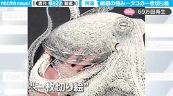 動きがまるで“生きたタコ” 次元を超えた切り絵に「神技と言える技量」と絶賛の声