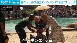 チャールズ国王がゾウガメにエサやり、ペンギンの“心音”チェックも… イギリス国王夫妻がロンドン動物園を訪問 見物客らと笑顔で交流
