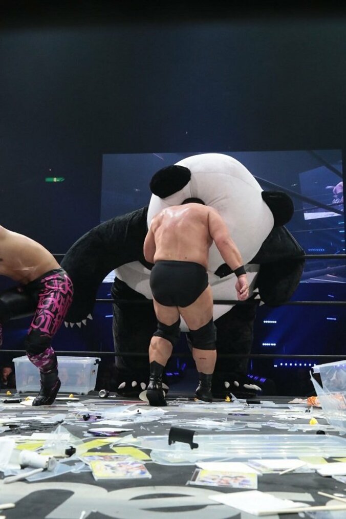 全国生中継中に選手の携帯番号公開！パンダvsメカパンダ！　両国大会も攻めまくったDDT、来夏に全席無料のビッグマッチ開催へ 3枚目