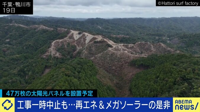 大量の樹木が伐採された鴨川市の山