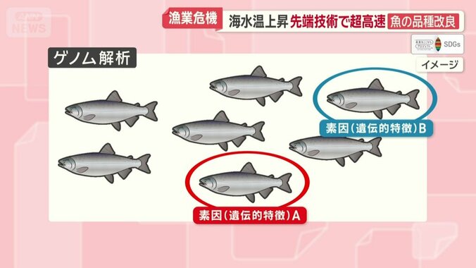 ゲノム解析