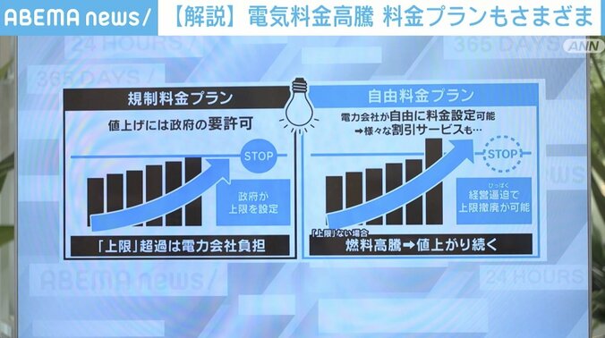 「電力会社を潰すわけには…」大手10社中7社が赤字？ 消費者が知っておきたい「規制料金」と「自由料金」の違い 2枚目