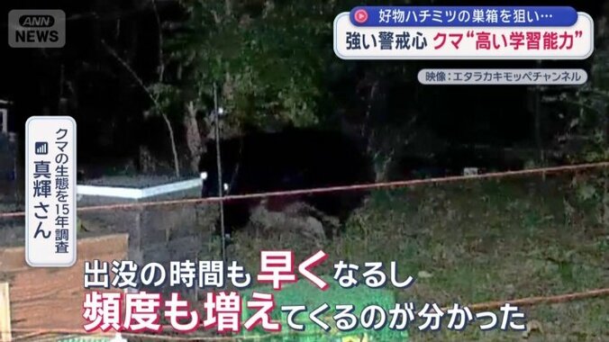 徐々に人などに慣れてくると…