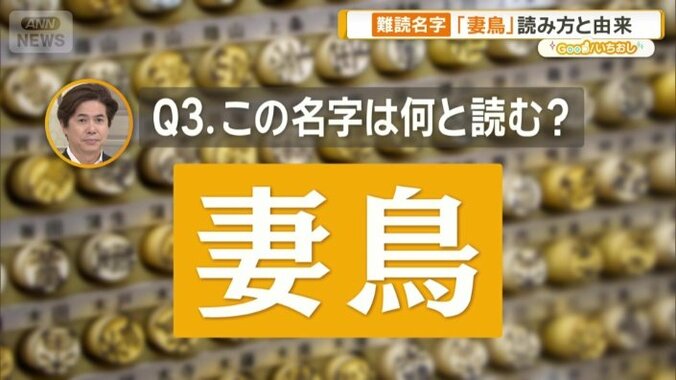 「妻鳥」何と読む？