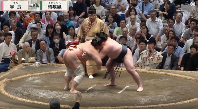 「え?なにこれ」宇良の取組が強制停止 親方“おこ”に3度も頭を下げ猛省 立ち合い不成立に控え行司もアピール 4枚目