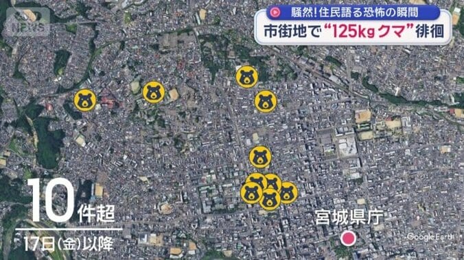 クマの目撃情報が相次ぐ