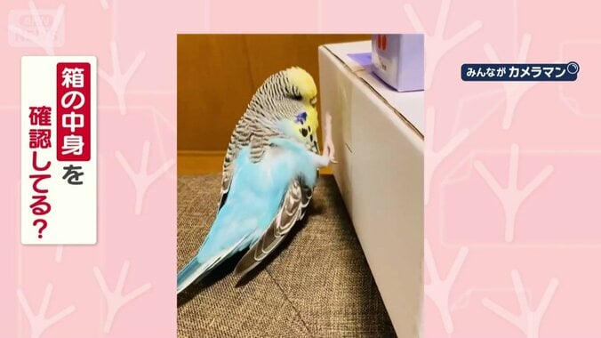 箱の中身を確認してる？