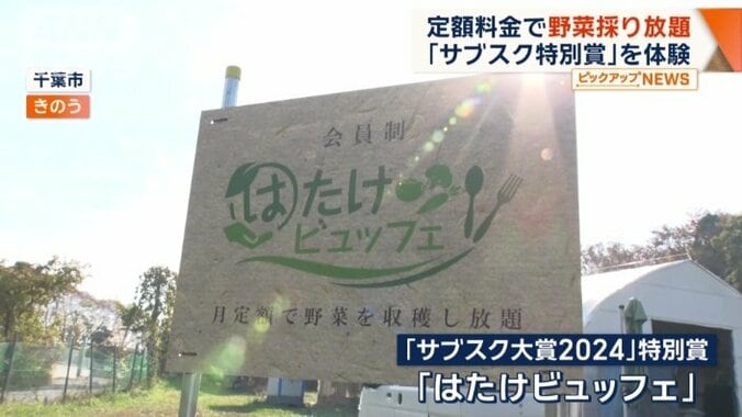 定額料金で野菜採り放題