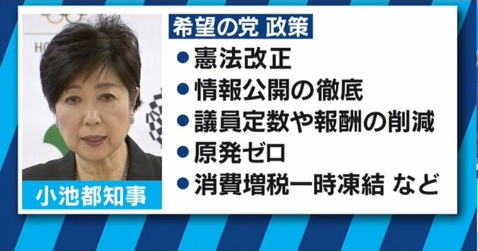 “小池総理誕生”を細川、小泉、小沢が後押しする可能性？今回の出馬は?　大下英治氏が指摘 2枚目