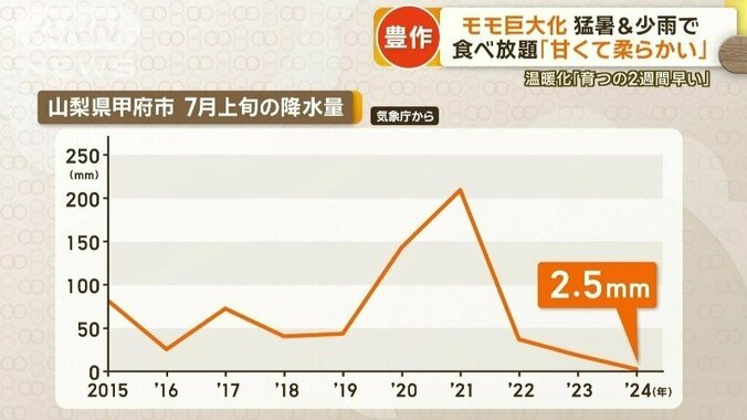 山梨県甲府市　7月上旬の降水量