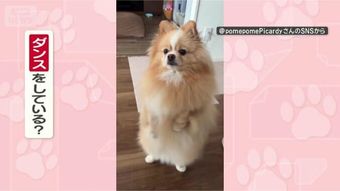 ダンスしているの？