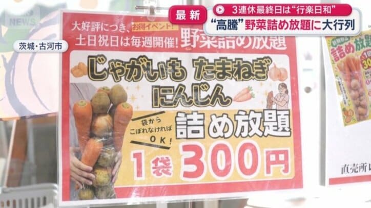野菜の詰め放題