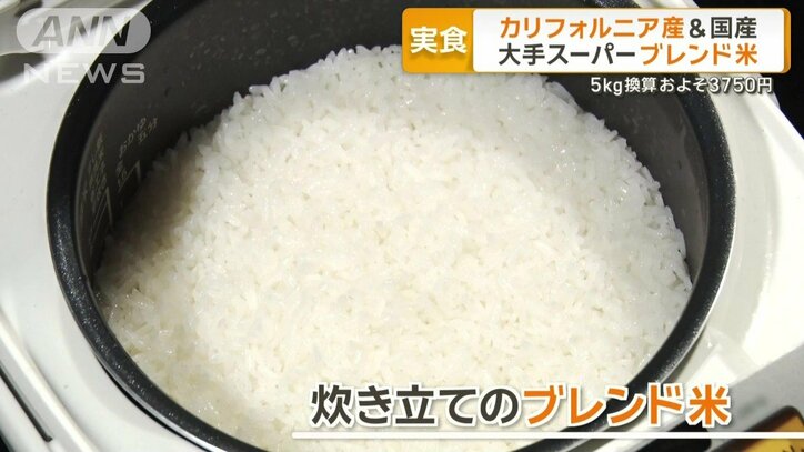 炊き立てのブレンド米