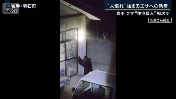 クマ