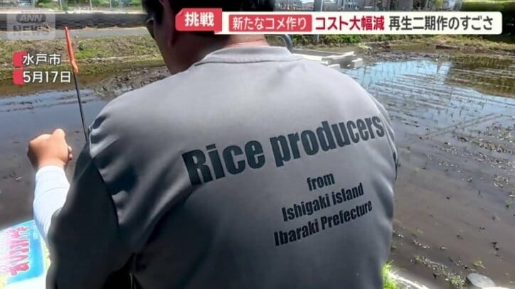 ライスプロデューサー