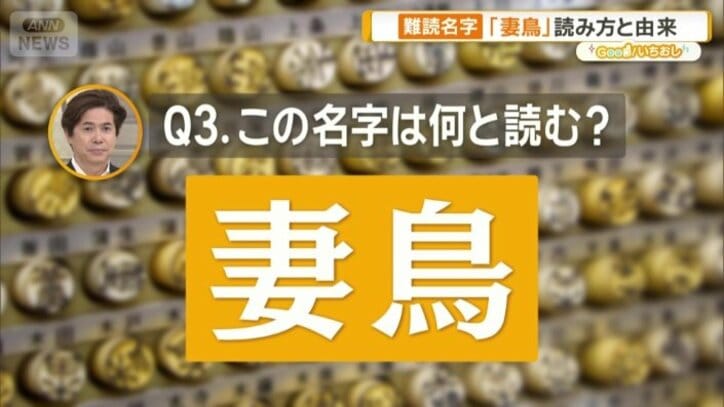 「妻鳥」何と読む？