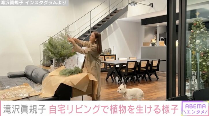 滝沢眞規子、自宅の広々リビングで植物を生ける様子にファン「センス抜群」「何でも器用にこなしてしまうタキマキさん本当に憧れ」