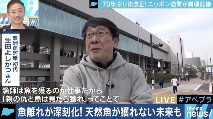 漁獲高制限で値段は？養殖ものの価値が上がる？70年ぶりの法改正と日本の漁業の未来は