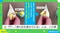 飼い主は“濡れ衣”!?セキセイインコがオカメインコにキックした後…一連の出来事に「完全なる冤罪w」「鳥って蹴るんだ(笑)」と話題沸騰