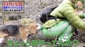 サバイバル中、犬にズボンを脱がされ…? 彼氏いない歴=年齢の女性タレントに質問殺到!