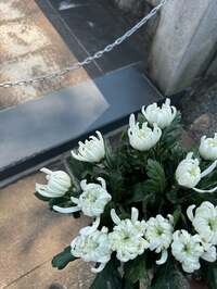 市川團十郎白猿『お墓参りへ』