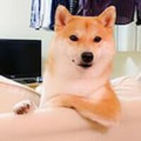 柴犬だいふくオフィシャルブログ「読む だいふく ちゃんねる」Powered by Ameba