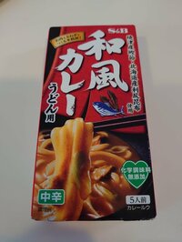 山田花子『病院通い』