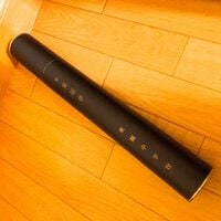 堀ちえみ『中学校を二校卒業した私』