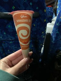 山川恵里佳『セブンティーンアイス』