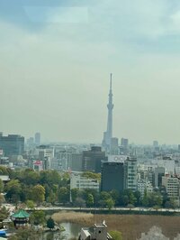 キャシー中島『今日は人間ドック』