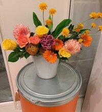 小川菜摘『おめでとう!』