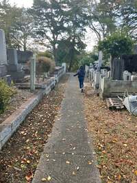 市川海老蔵『さぁ』