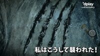 ドキュメンタリー「私はこうして襲われた!」【初回14日間無料(いつでも解約OK)】