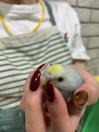 佐藤友美『離れない子』