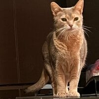 しょうくん『我が家の男前列伝』