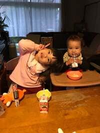 たんぽぽ白鳥久美子『人間ドックなど』