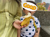 川田裕美『今日から通常運転』