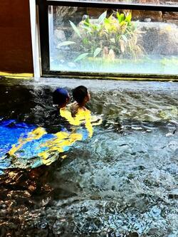  市川團十郎、妻・小林麻央さんも喜んでいると思う“最高のクリスマスプレゼント”「素晴らしい」「泣いてしまいました」の声 