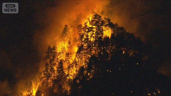 迫る炎…集落まで700m　山梨で山火事、たき火原因か　中央道SA付近　自衛隊派遣へ 1枚目