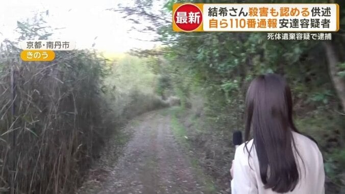 途中から高い木々が両側に生えている