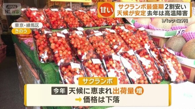 都内のスーパーで「佐藤錦」が2割安に