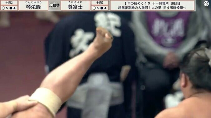 股関節の柔らかさが異常「美しい四股」