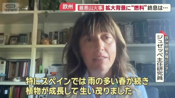 欧州中期予報センター　ジュゼッペ主任研究員