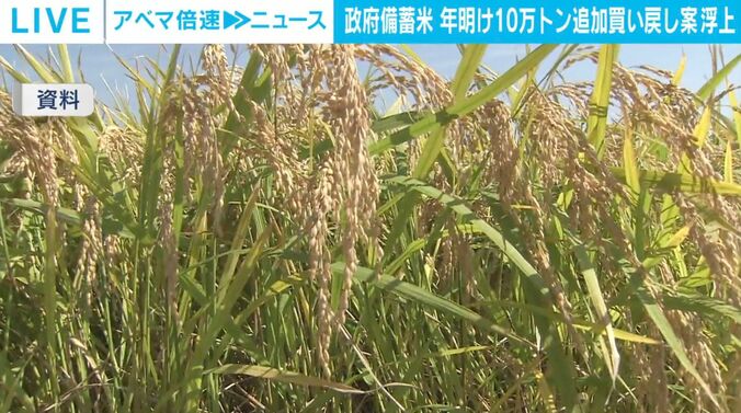 コメ