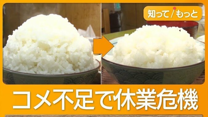 激安＆マンガ盛り　体育会系「L定食」とは？ コメ不足で危機も…地元に愛され50年 1枚目