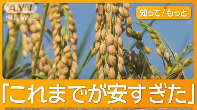 「今年はバブルです」コメ高騰　現場は廃業続出＆若手不足　燃料代高騰「毎日8万円」 1枚目