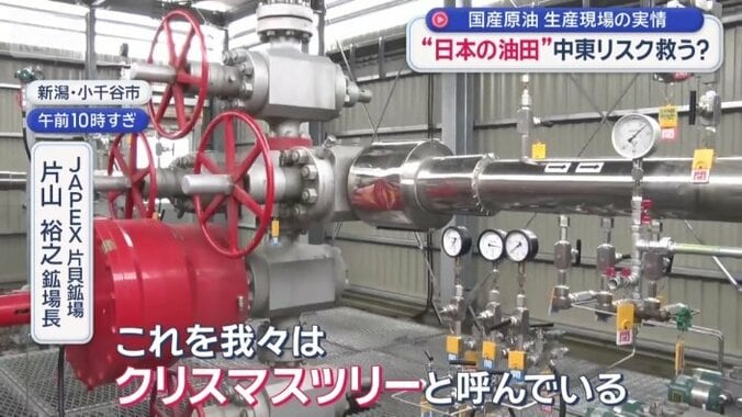 「クリスマスツリー」と呼ばれる設備